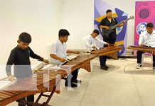 Foto: Marimba y guitarra se fomentan en Nicaragua / TN8