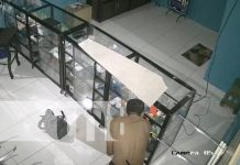 Foto: Roban tienda de celulares en Chinandega / TN8