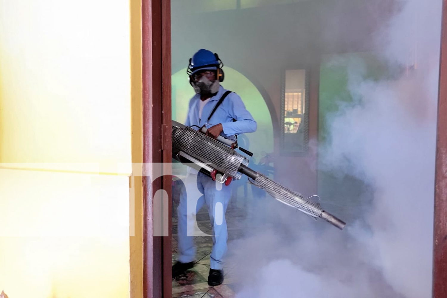 Foto: MINSA intensifican acciones de prevención contra el dengue /TN8