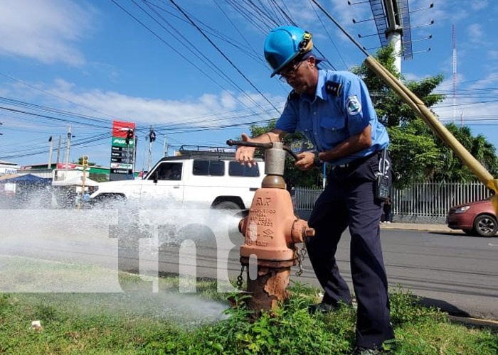 Foto: Seguridad en el Mercado Oriental / TN8