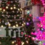 Foto: Mejores adornos de Navidad en El Rey del Buen Vestir / TN8