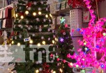 Foto: Mejores adornos de Navidad en El Rey del Buen Vestir / TN8