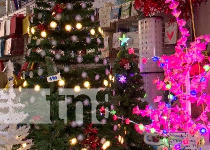 Foto: Mejores adornos de Navidad en El Rey del Buen Vestir / TN8