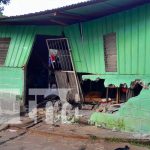 Foto: Camión se estrella con una vivienda en San Luis / TN8