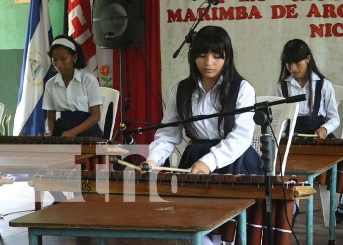 Foto: Rondalla de marimba en la Isla de Ometepe / TN8