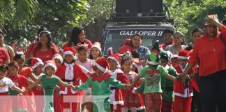 Foto: Ambiente de Navidad desde Ometepe / TN8