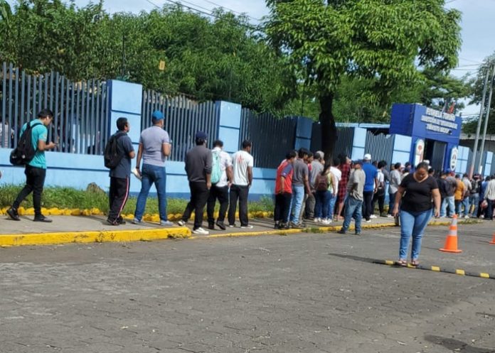 Foto: Filas en las oficinas de Tránsito Nacional