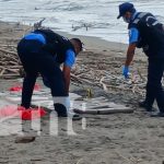 Foto: Incautación de cocaína en Quizalá, Villa El Carmen, departamento de Managua / TN8