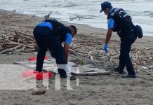 Foto: Incautación de cocaína en Quizalá, Villa El Carmen, departamento de Managua / TN8