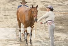 Foto: Feria Ganadera 2024 / TN8