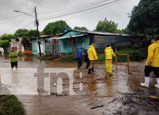 Foto: Afectaciones parciales al sur de Nicaragua por la tormenta Sara / TN8