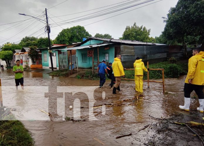 Foto: Afectaciones parciales al sur de Nicaragua por la tormenta Sara / TN8