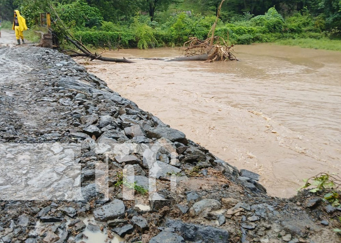 Foto: Afectaciones parciales al sur de Nicaragua por la tormenta Sara / TN8