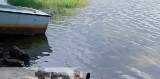 Foto: Hombre muere por sumersión en la Laguna de Xiloá / TN8