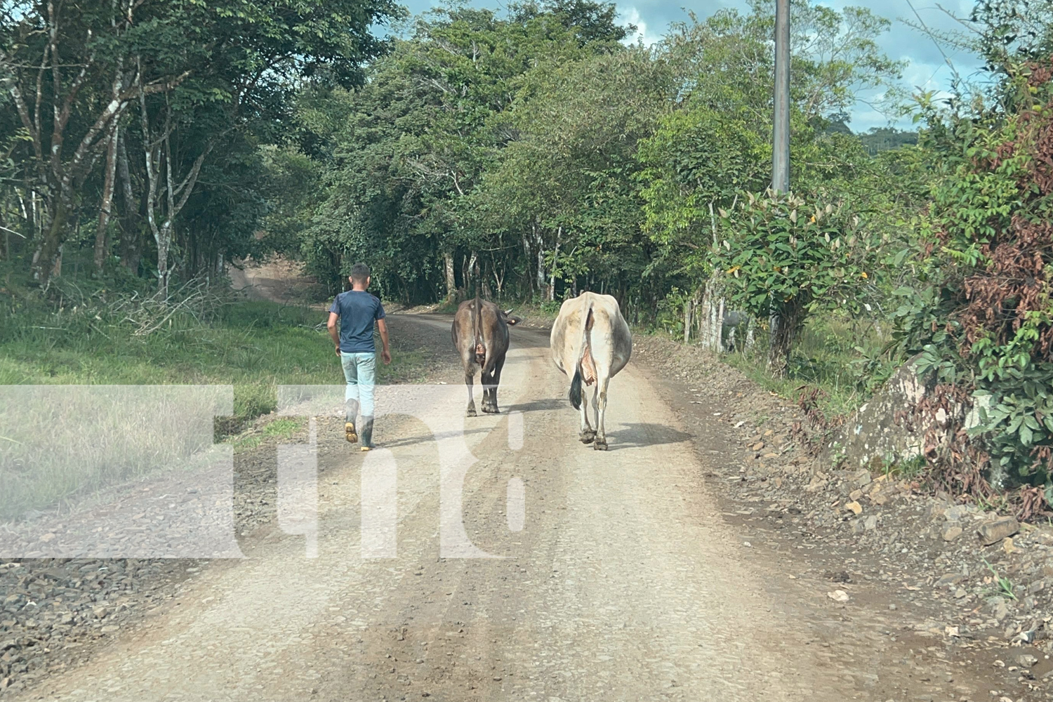 Foto: Rehabilitación de camino productivo Betulia a las Praderas en La Libertad, Chontales/TN8