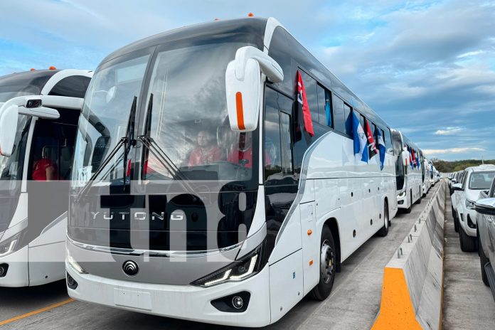 Foto:¡Llegaron los 400 nuevos buses chinos! Modernización al transporte público en Nicaragua: comodidad, calidad y repuestos garantizados. /TN8