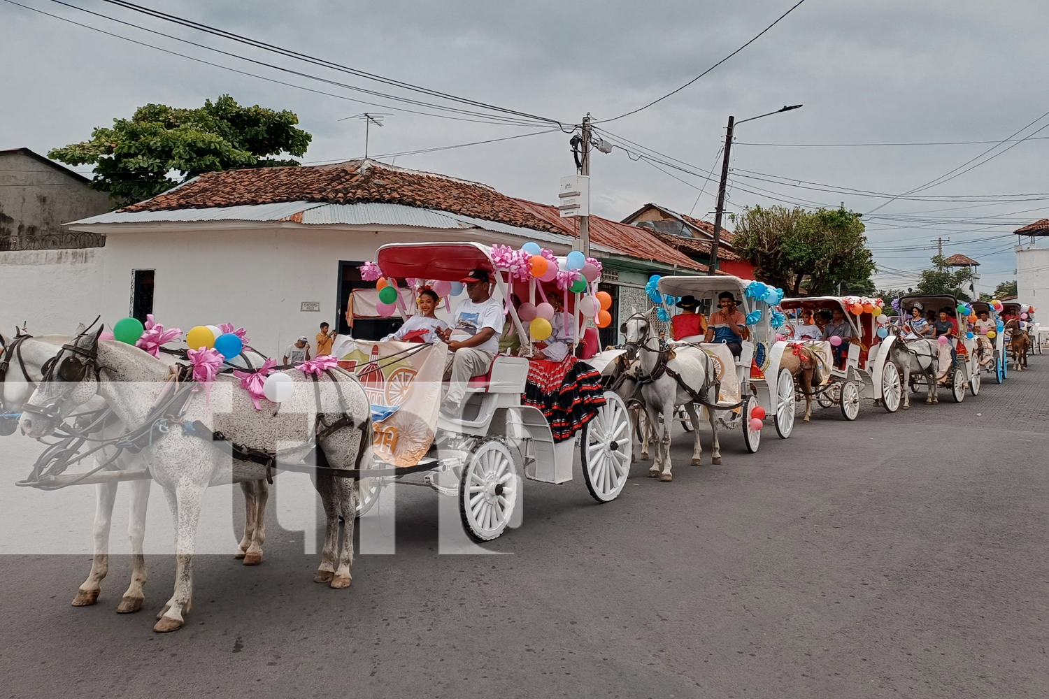 Foto:  ¡Granada vibró con el desfile de coches coloniales! 25 aurigas recibieron un merecido homenaje por preservar la tradición /TN8