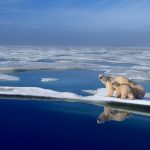 Foto: El Ártico podría perder su capa de hielo marino para 2030