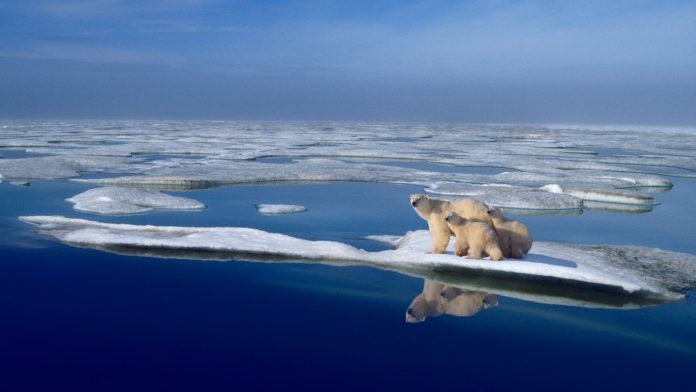 Foto: El Ártico podría perder su capa de hielo marino para 2030