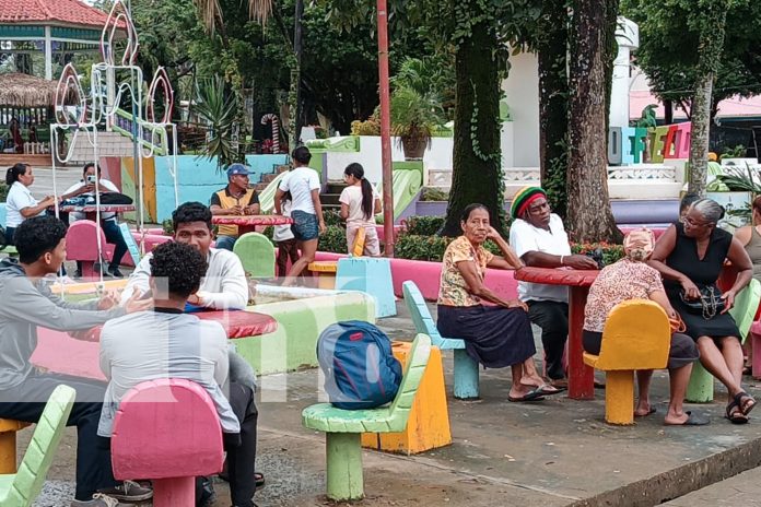 Foto: ¡Buenas noticias para Bluefields! 10 nuevos microbuses mejorarán el transporte colectivo en la ciudad. Gracias al Gobierno de Nicaragua /TN8