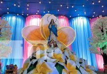 Foto: La Avenida Bolívar brilla con altares dedicados a la Virgen María/TN8