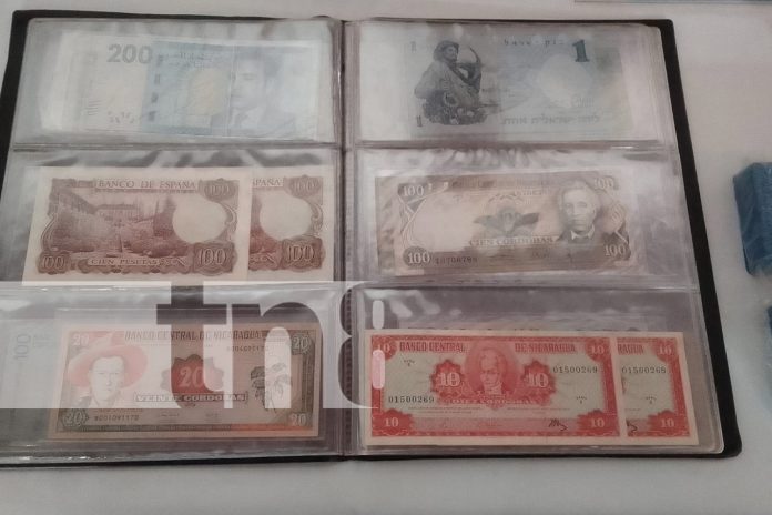 Foto: Granada celebra 500 años con la exposición de monedas y billetes antiguos de Nicaragua/TN8