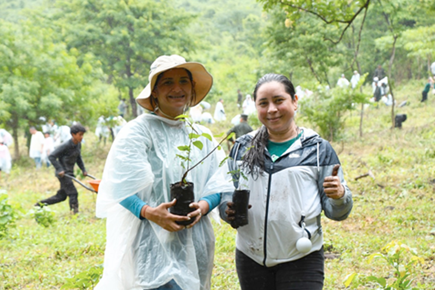 Foto: Nicaragua continúa con éxito la campaña nacional de reforestación/Cortesía