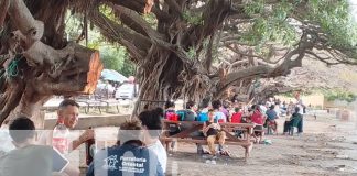 Foto: Familias disfrutan de la belleza natural de Granada durante el inicio de diciembre/TN8