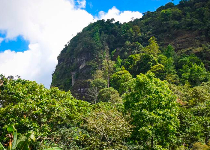 Foto: 11 de diciembre se celebra el Día Internacional de las Montañas/Cortesía