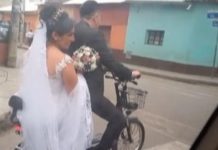 Foto: Amor de recién casados /cortesía