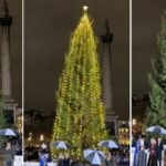 Foto: El polémico árbol de navidad /cortesía