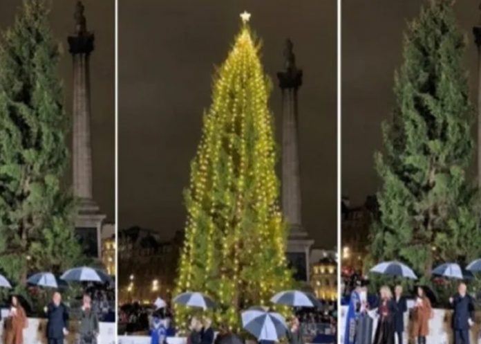 Foto: El polémico árbol de navidad /cortesía