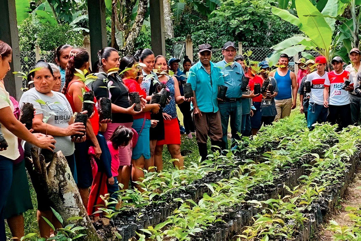 Foto: Jinotega avanza con la siembra de más de 763,000 plantas/Cortesía