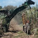 Foto: El sector azucarero continúa siendo un pilar fundamental para la economía/Cortesía