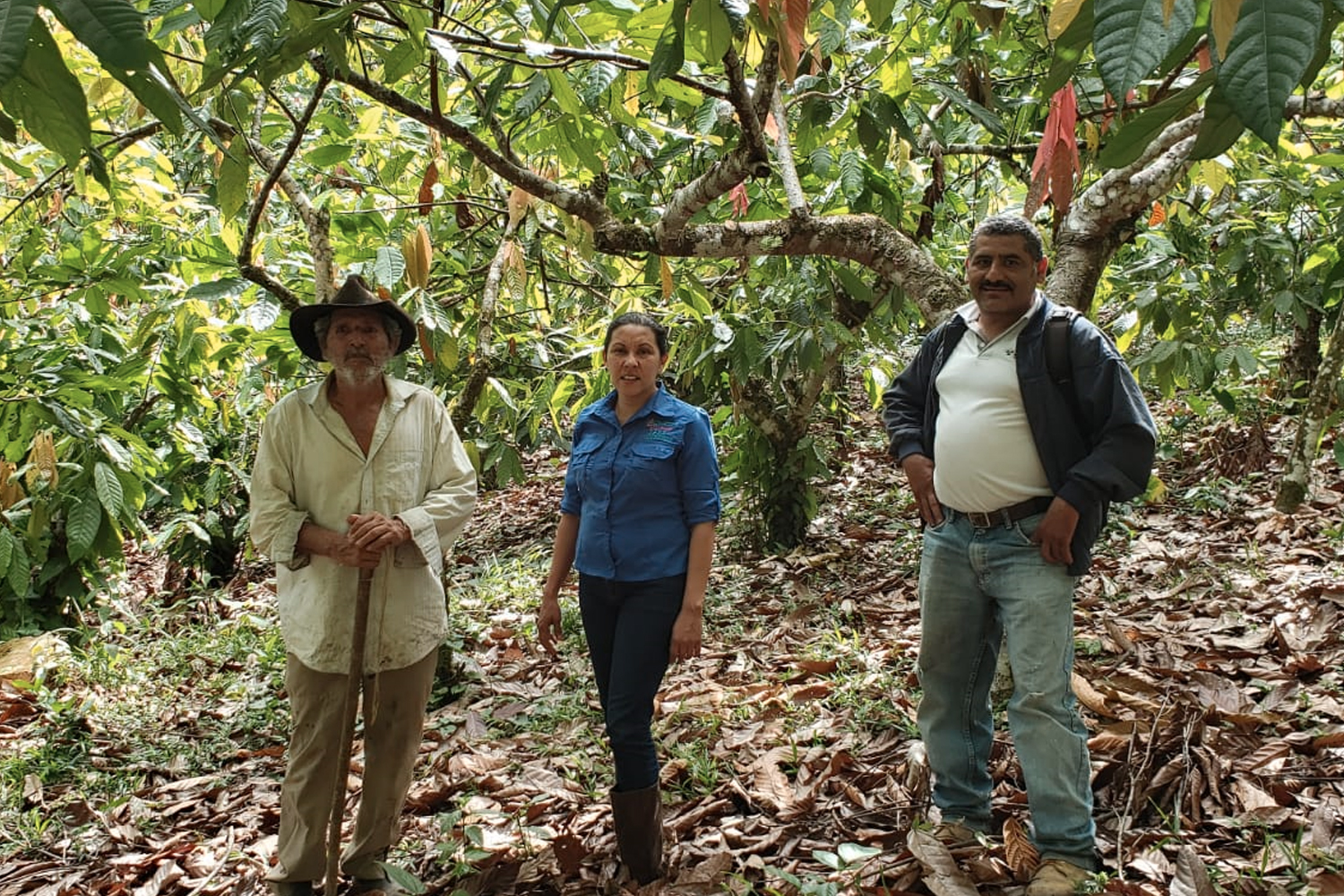 Foto: IPSA, continúa promoviendo la producción orgánica en Nicaragua/Cortesía