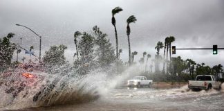 Foto: Ciclón Chido deja 34 muertos y 319 heridos en Mozambique