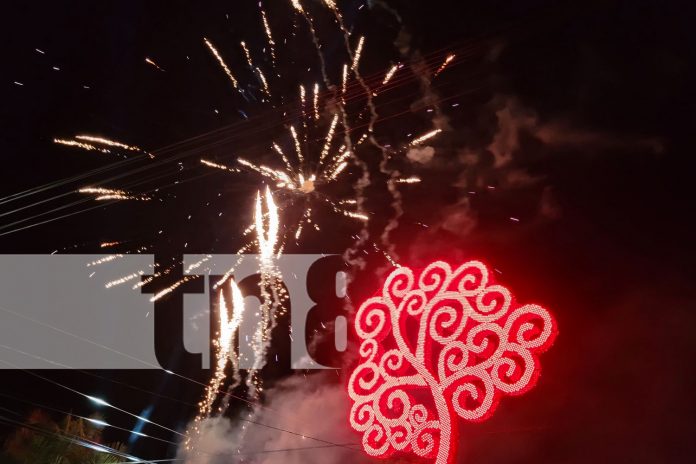 Foto: Boaco celebra el encendido del Árbol de la Vida como símbolo de unidad y esperanza/TN8