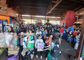 Foto: Cientos de nicaragüenses abarrotan terminales /TN8