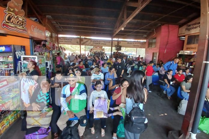 Foto: Cientos de nicaragüenses abarrotan terminales /TN8