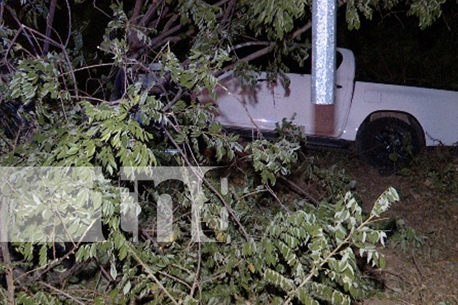 Foto: Un conductor ebrio destruye un poste y un árbol en Managua, pero sobrevive de milagro. ¡Alcohol y volante, una combinación mortal! /TN8