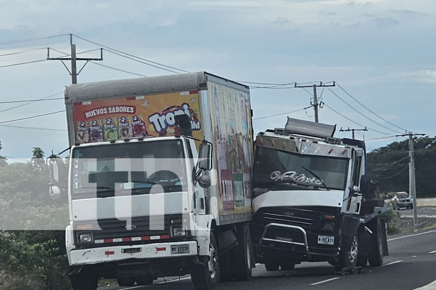 Foto: Tránsito Nacional reporta suspendieron de licencias /TN8