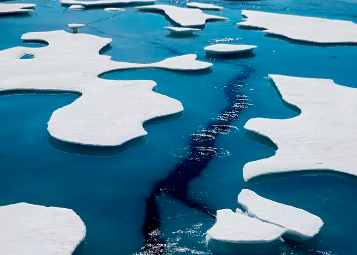 Foto: El Ártico podría quedar completamente libre de hielo/Cortesía