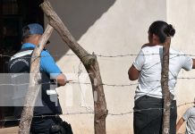 Foto: Autoridades investigan un crimen en Jalapa- Nueva Segovia. Un hombre de 46 años fue asesinado tras recibir 10 disparos./TN8