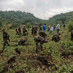 Foto: Nicaragua continúa con éxito la campaña nacional de reforestación/Cortesía