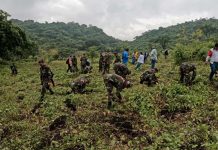 Foto: Nicaragua continúa con éxito la campaña nacional de reforestación/Cortesía