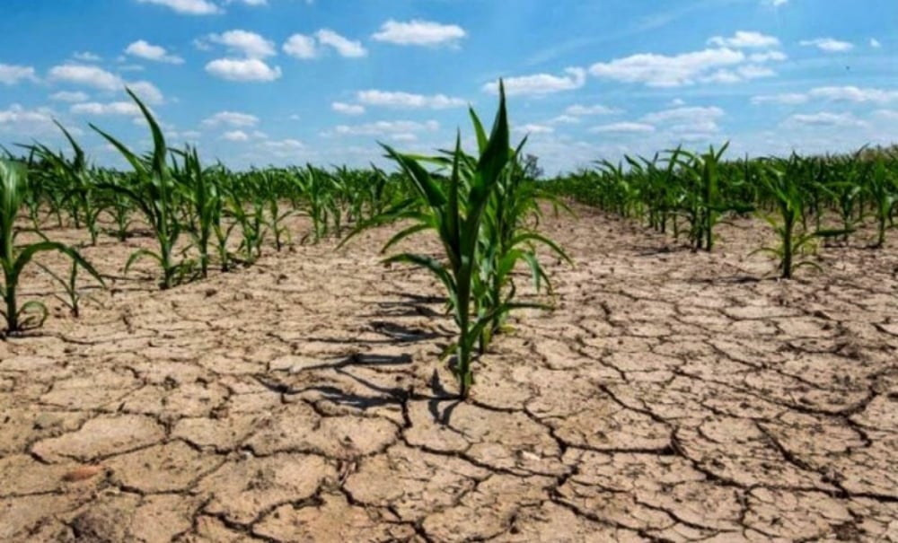 Foto: La Niña podría desarrollarse entre diciembre y febrero, pero será breve y de baja intensidad