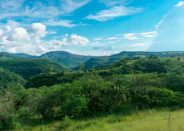 Foto: 11 de diciembre se celebra el Día Internacional de las Montañas/Cortesía