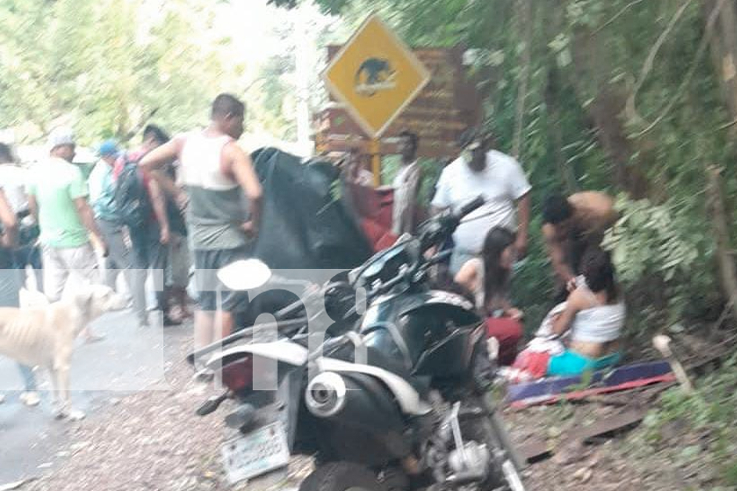 Foto: Seis personas resultaron heridas tras un accidente de mototaxi en La Laguna de Apoyo, Masaya. Las víctimas fueron trasladadas al hospital. /TN8