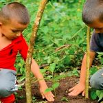 Foto: Jinotega avanza con la siembra de más de 763,000 plantas/Cortesía