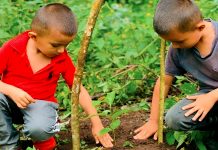 Foto: Jinotega avanza con la siembra de más de 763,000 plantas/Cortesía